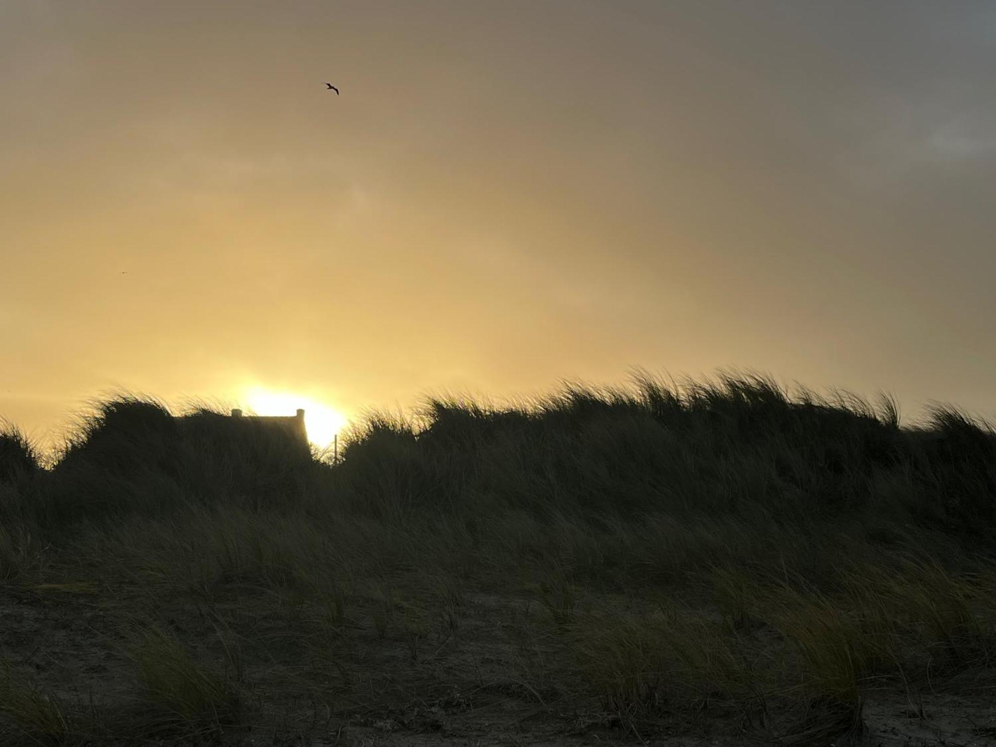 Logies La Parmentiere Lejlighed De Panne Eksteriør billede